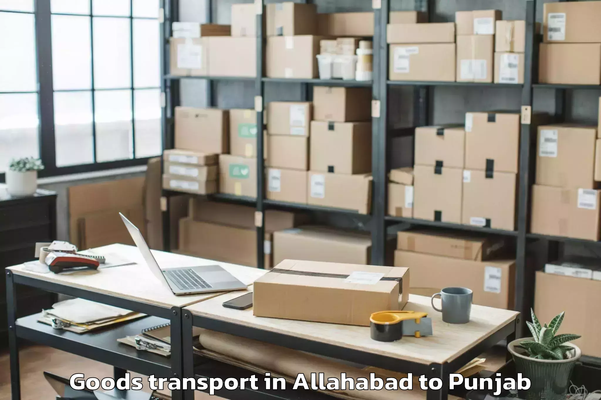 Professional Allahabad to Omaxe Novelty Mall Goods Transport